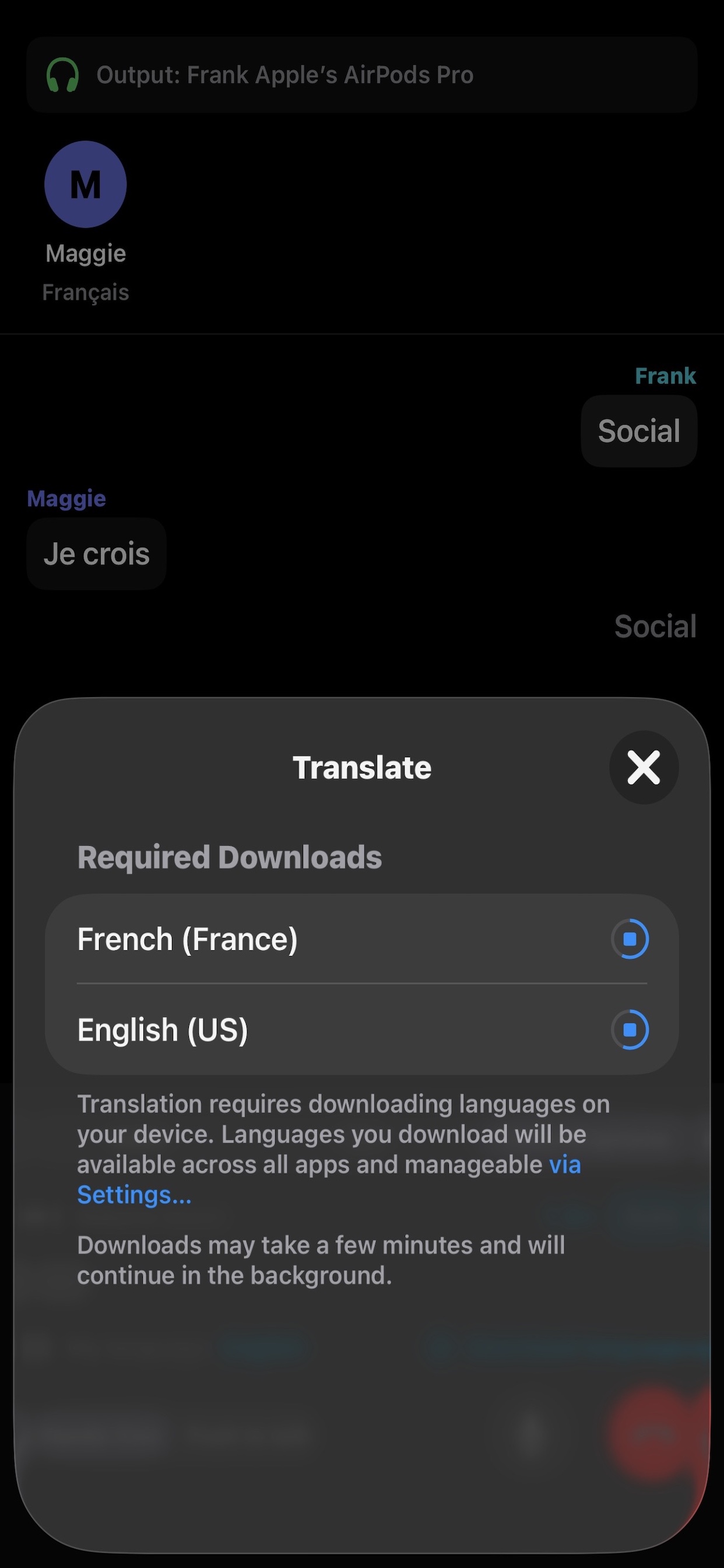 Offline translation download